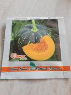 Pompoenen zaden, Ophalen