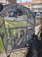 Te koop een papagaai kooi, Dieren en Toebehoren, Vogels | Hokken en Kooien, Ophalen of Verzenden, Metaal, Vogelkooi