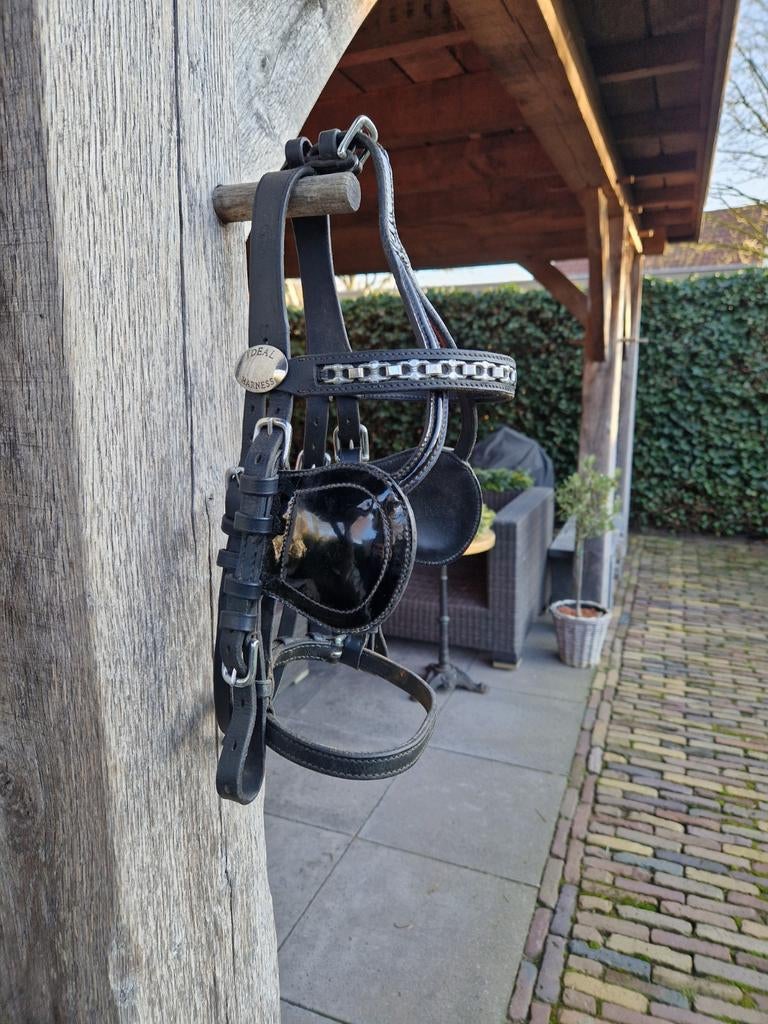 Ideal Luxe Hoofdstel Pony Lak Oogkleppen, Dieren en Toebehoren, Ophalen of Verzenden, Overige soorten