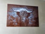 Wanddecoratie glas Schotse Hooglander, Ophalen, Gebruikt, Print, 75 tot 100 cm