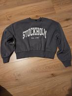 Trui Stradivarius, maat XS, Kleding | Dames, Ophalen of Verzenden, Zo goed als nieuw, Maat 34 (XS) of kleiner, Grijs