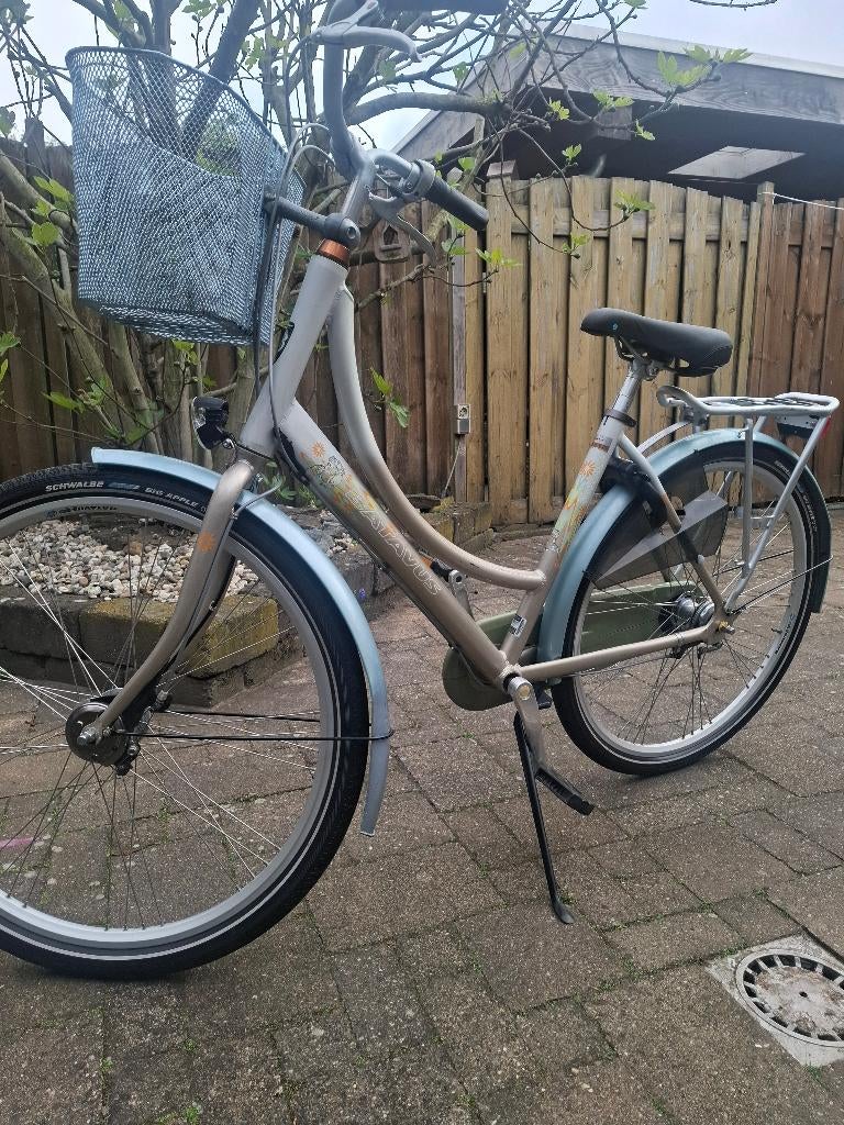 BATAVUS  framesize 50, Ophalen, Gebruikt, Overige merken, Versnellingen
