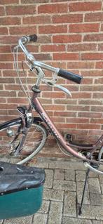 Oude Sparta Luca DX Damesfiets, Ophalen, Sparta, Versnellingen, 53 tot 56 cm