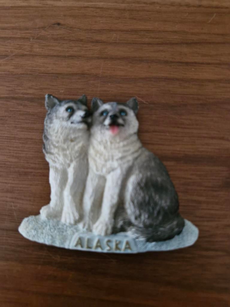 300 Koelkastmagneet van twee husky's, met 'Alaska' erop, Ophalen of Verzenden, Zo goed als nieuw, Hond of Kat, Beeldje of Figuurtje