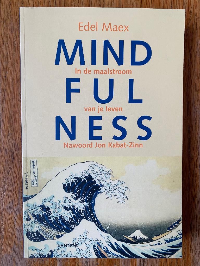 Edel Maex - Mindfulness, Achtergrond en Informatie, Zo goed als nieuw, Overige onderwerpen, Edel Maex