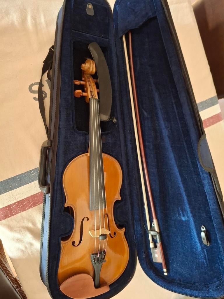 4/4 viool in kist. Met schoudersteun, Ophalen of Verzenden, Zo goed als nieuw, 4/4-viool, Met koffer