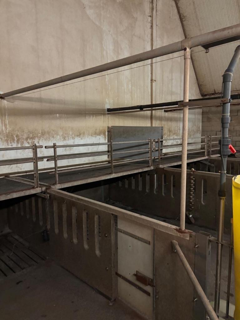 Plateaus voor vleesvarkens [260], Boekhorst Trading, Info@boekhorsttrading.com, Singel 16