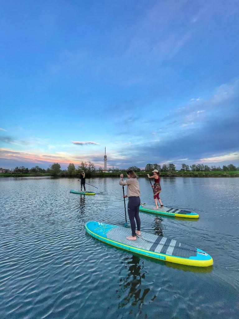 SUP board fanatic fly Premium 10'4, Ophalen, Gebruikt, SUP-boards