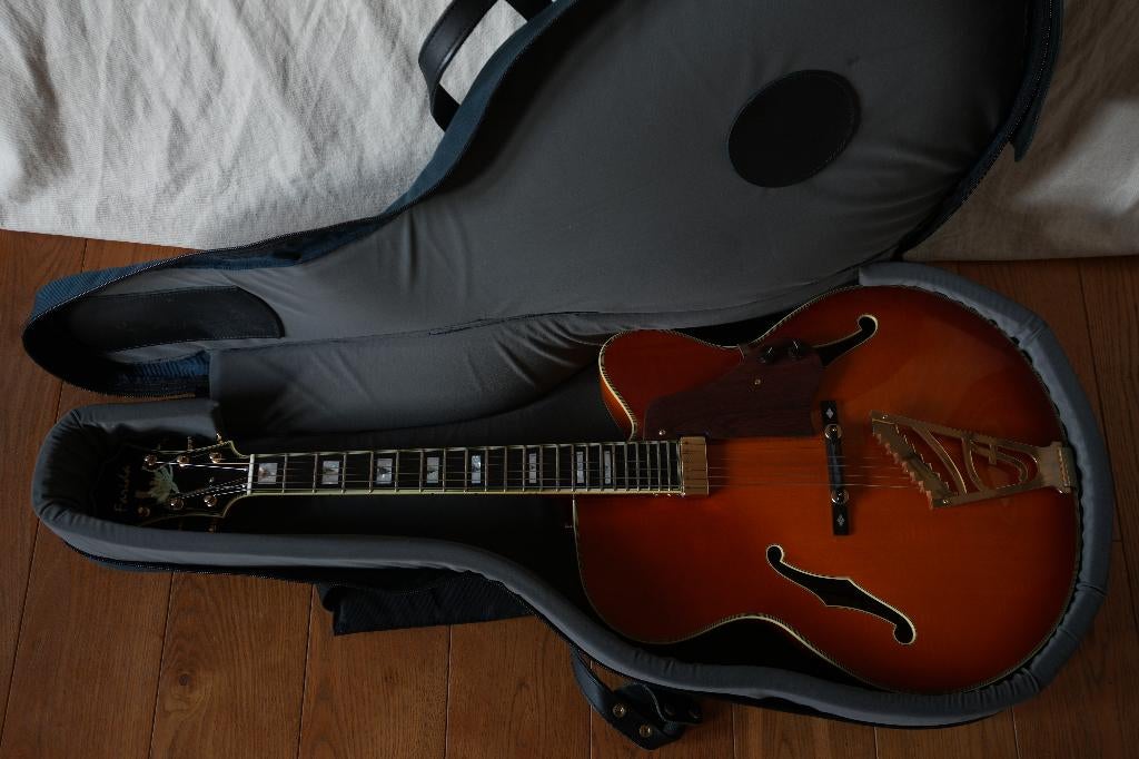 Farida FA18 CSPBSB incl. Cronkhite tas, Muziek en Instrumenten, Snaarinstrumenten | Gitaren | Elektrisch, Ophalen, Gebruikt, Hollow body