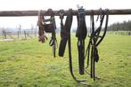 Enkelspan mentuig Full, Dieren en Toebehoren, Ophalen of Verzenden, Gebruikt, Overige soorten