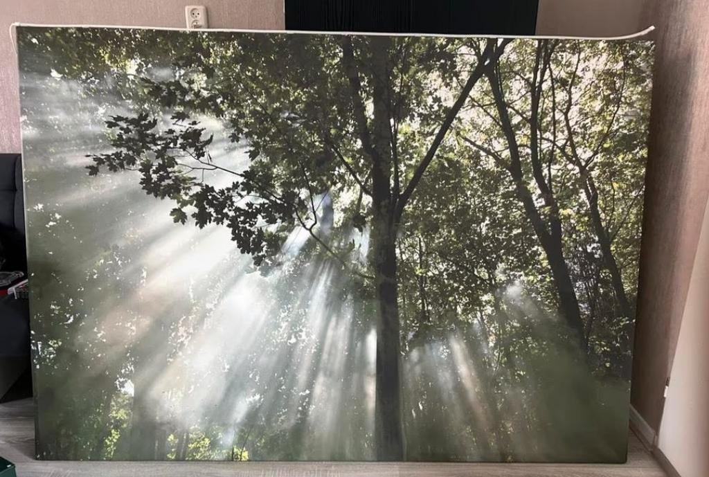 Ikea Canvas Groene Boom, Ophalen of Verzenden