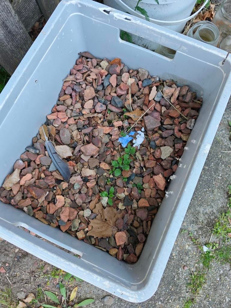 Rood grind GRATIS OPHALEN, Tuin en Terras, Aarde en Mest, Ophalen of Verzenden