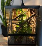Repto Terra Sky terrarium 30 x 30 x 42 incl. Flappentakken, Dieren en Toebehoren, Reptielen en Amfibieën | Toebehoren, Ophalen