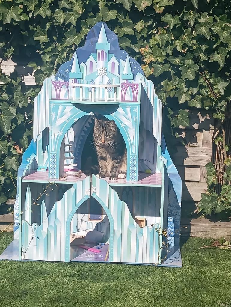 Frozen kasteel speelhuis (zonder kat), Ophalen of Verzenden, Gebruikt, Meisje
