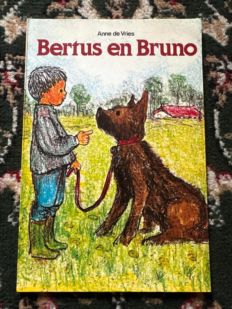 Bertus en Bruno - Anne de Vries, Ophalen of Verzenden, Gelezen, Fictie algemeen