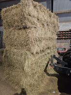 Hooi. Grote pakken en kleine 25kg pakken en nog 2 rollen., Dieren en Toebehoren, Dierenvoeding, Ophalen of Verzenden, Vee