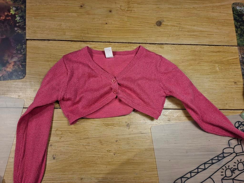Roze glitter bolero van Frendz, maat 116, Kinderen en Baby's, Kinderkleding | Maat 116, Gebruikt, Trui of Vest, Frendz, Verzenden