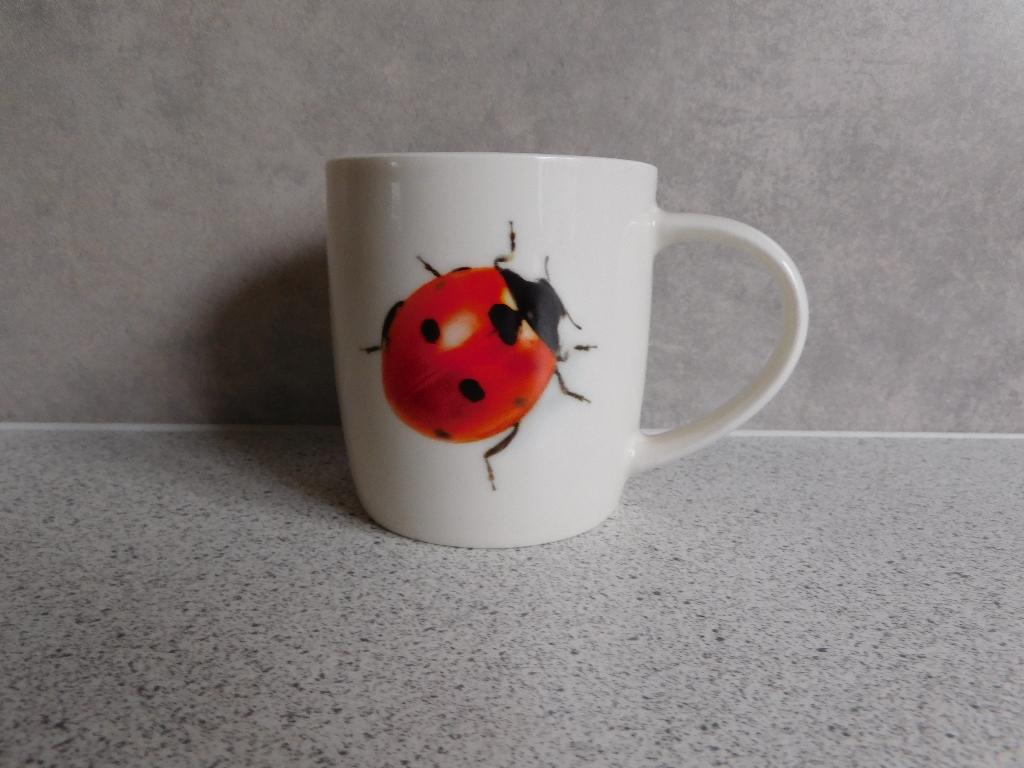 Mok 9x8 cm. Lieveheersbeest Animal Friends, Ophalen of Verzenden, Zo goed als nieuw, Overige stijlen, Kop(pen) en/of Schotel(s)