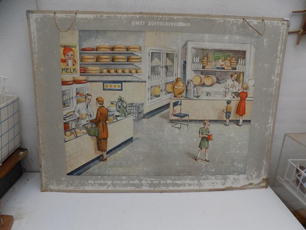 Schoolplaat melkwinkel zuivelbereiding jaren 50, Ophalen, Gebruikt