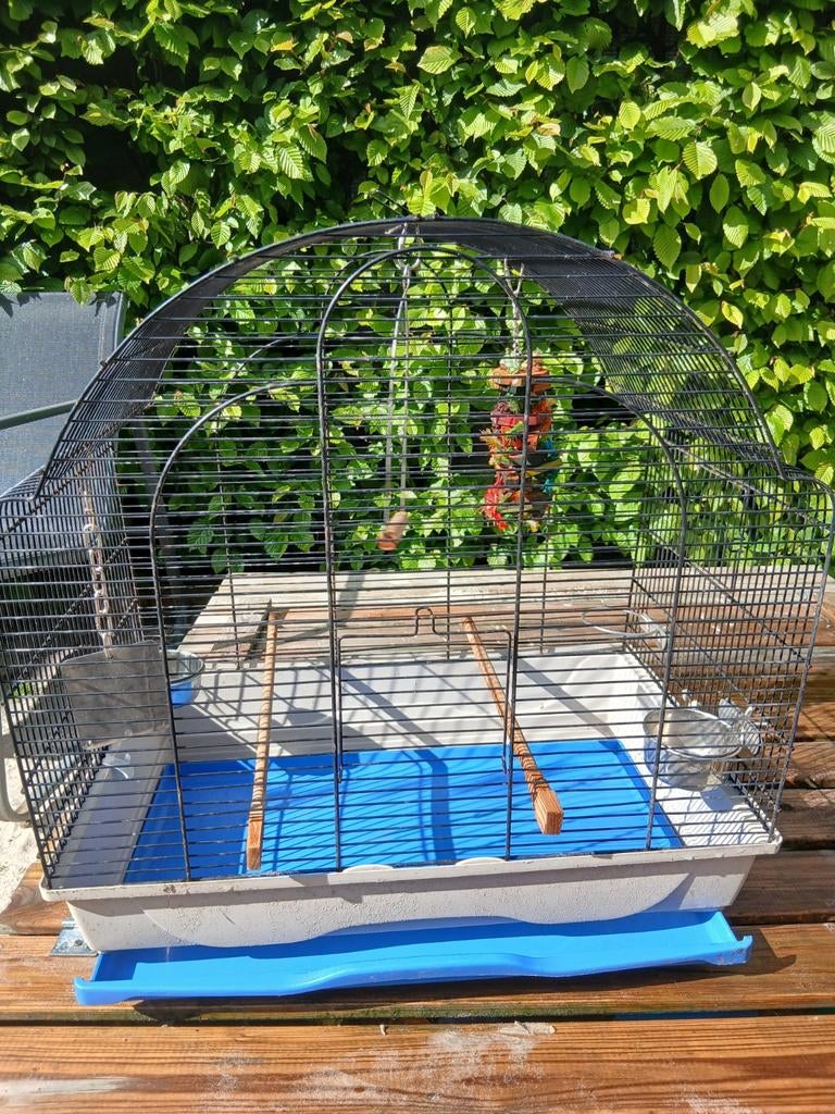 Vogelkooi, Ophalen