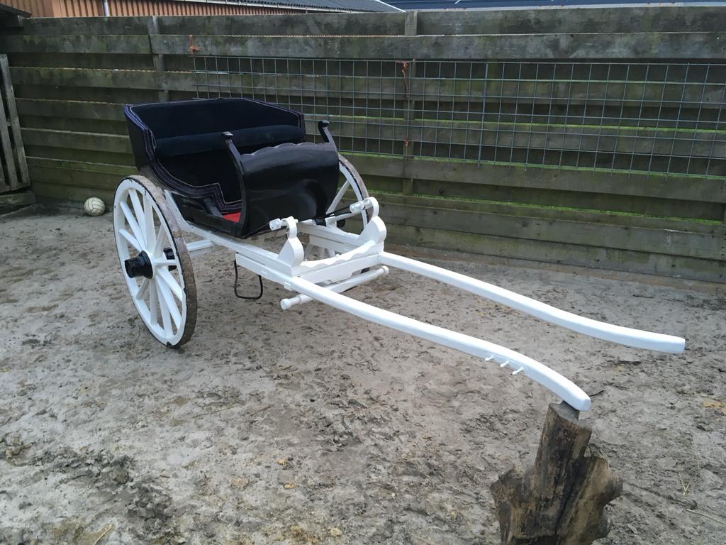 Friesche pony sjees, Ophalen of Verzenden