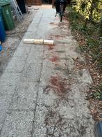 15 m2 grindtegel 40*60 (65 tegels), Ophalen, Zo goed als nieuw, Beton, Terrastegels