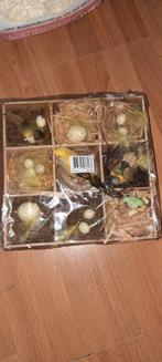 Decoratieve Vogel Nestjes Set, Diversen, Pasen, Ophalen of Verzenden, Nieuw