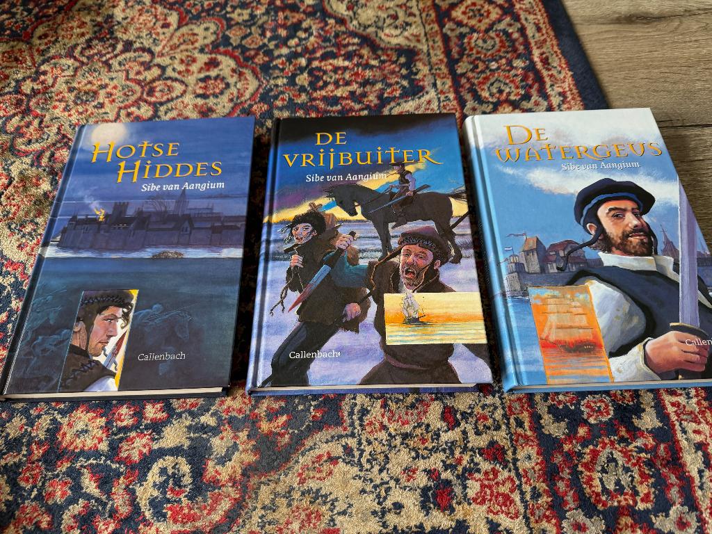 Hotse Hiddes Trilogie. Sibe van Aangium. Hotse Hiddes., Boeken, Ophalen of Verzenden, Zo goed als nieuw, Fictie, Sibe van Aangium.