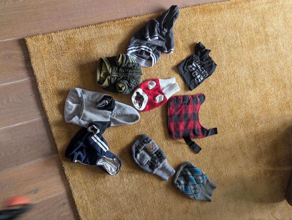 Hondenjasjes/truitjes, Dieren en Toebehoren, Ophalen