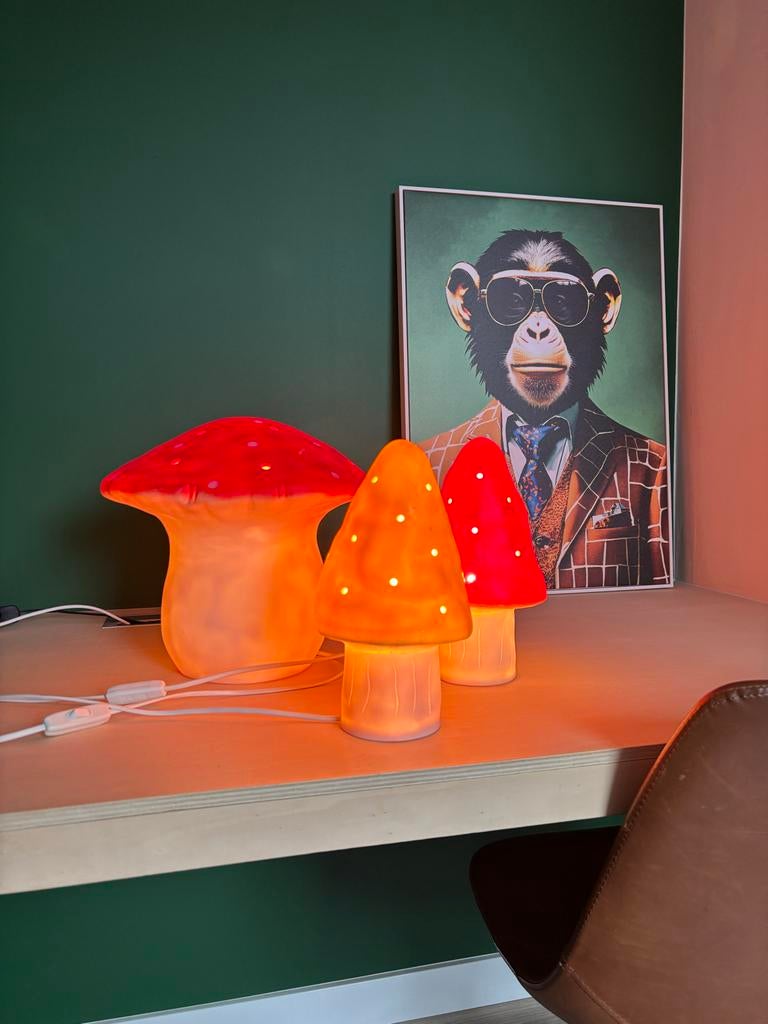 3 Egmond Toys Vliegenzwam Paddenstoel Lampen - 2 Rood, 1 Gee, Ophalen, Lamp