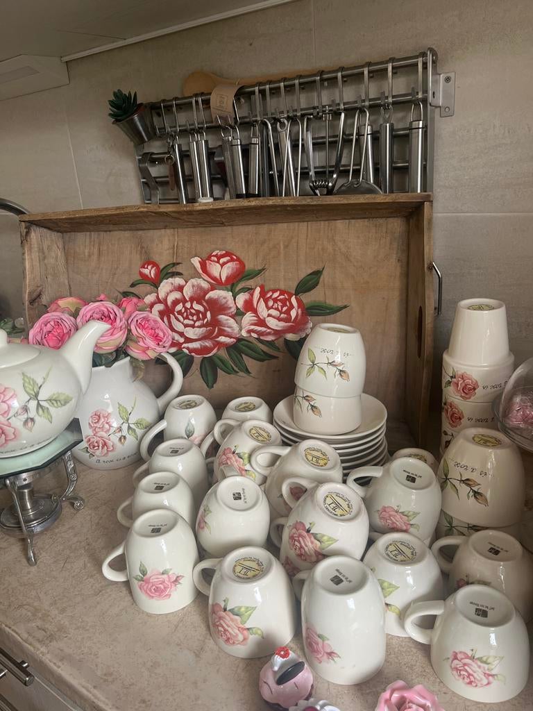 Servies jet ter steege, Gebruikt, Keramiek, Ophalen of Verzenden, Overige stijlen