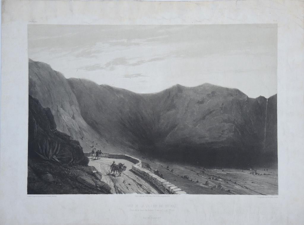 Eugène Ciceri litho "Briar Valley,  Saint Helena Island", Antiek en Kunst, Kunst | Litho's en Zeefdrukken, Ophalen