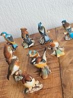 Capodimonte vogels - 10 stuks met kleine beschadigingen, Ophalen of Verzenden, Gebruikt, Vogel, Beeldje of Figuurtje