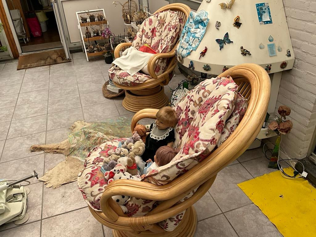 Twee robuuste rotan stoelen met kussens TEAB, Ophalen, Twee, Overige kleuren, Riet of Rotan