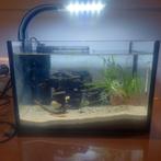 Klein aquarium, Ophalen, Leeg aquarium