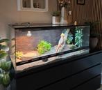 Prachtig terrarium 120x50x50 cm incl toebehoren, Dieren en Toebehoren, Reptielen en Amfibieën | Toebehoren, Ophalen, Zo goed als nieuw