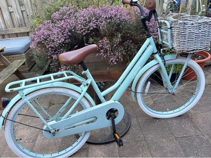 Liberty meisjesfiets Cargo-model - Mintgroen 22 inch (foto), Ophalen, Terugtraprem, 22 inch, Gebruikt