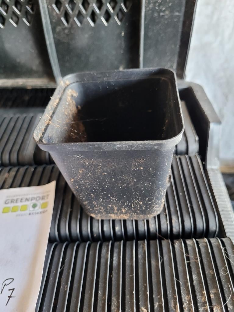 P8 kleine kweekpotjes 8x8x8,5cm, Tuin en Terras, Ophalen, Kunststof, Vierkant, Tuin