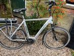 Stella Corrado e-bike (ondersteuning is licht defect), Gebruikt, 50 km per accu of meer, 55 tot 59 cm, Ophalen