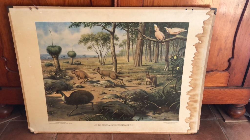 MOOIE OUDE SCHOOLPLATEN, Antiek en Kunst, Ophalen, Geschiedenis