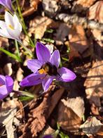 Vrouw zoekt man, Contacten en Berichten