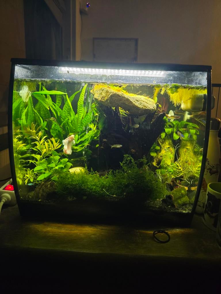 Fluval aquarium 57l, Ophalen, Leeg aquarium