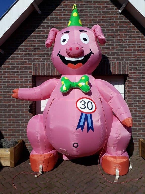 Feestvarken te huur, Ophalen, Zo goed als nieuw