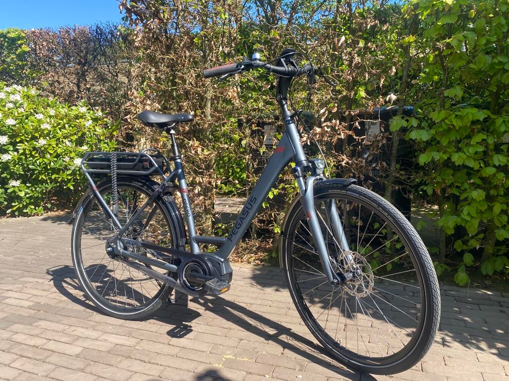 Pegasus Opero E8F - 55 cm - Di2 - Nieuw, 53 tot 56 cm, Nieuw, Schijfrem, Ophalen