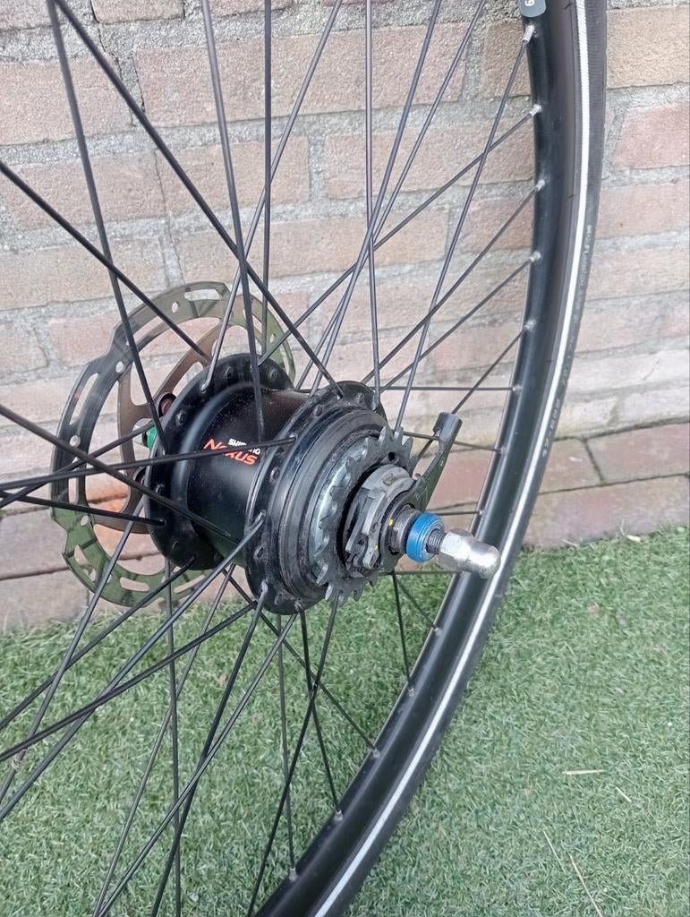 Achterwiel 28 Inch Nexus 8 met schijfrem, Wiel, Gebruikt, Shimano Nexus, Algemeen