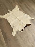 vloerkleed  kleed Dierenhuid  koe kalf 90 x 60 zgan, Ophalen, 50 tot 100 cm, 50 tot 100 cm, Zo goed als nieuw