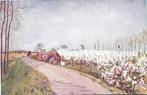 De Betuwe;  Een Kersenboomgaard in de Betuwe, Verzenden, 1920 tot 1940, Ongelopen, Gelderland