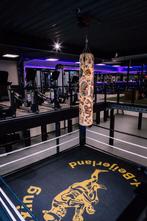 Hammer strength/Dumbell life maxx/Stexx/life fitness, Ophalen, Zo goed als nieuw