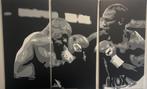 Popart schilderij Tyson vs. Lewis, Ophalen