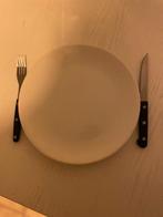 Barbecue/party bestek en servies, Ophalen, Zo goed als nieuw, Bord(en), Effen